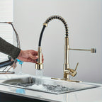 Brass 360° Swivel Kitchen Faucet (Hydroelectric LED)