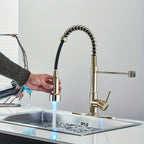 Brass 360° Swivel Kitchen Faucet (Hydroelectric LED)