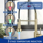 Brass 360° Swivel Kitchen Faucet (Hydroelectric LED)