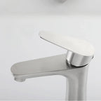 304 Stainless Steel Lead-Free Bathroom Faucet (Single-Handle)
