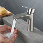 304 Stainless Steel Lead-Free Bathroom Faucet (Single-Handle)
