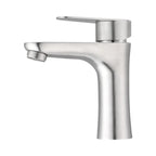 304 Stainless Steel Lead-Free Bathroom Faucet (Single-Handle)