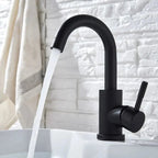 360° Swivel 304 Stainless Steel Black Nickel Bathroom Faucet (Deck-Mounted)