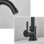 360° Swivel 304 Stainless Steel Black Nickel Bathroom Faucet (Deck-Mounted)