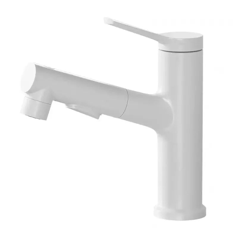 Brass Pull-Out Bathroom Faucet With Ceramic Valve (Single-Hole)
