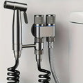 Brushed Stainless Dual-Outlet Wall-Mounted Bidet Sprayer