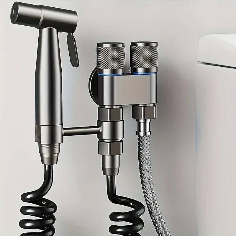 Brushed Stainless Dual-Outlet Wall-Mounted Bidet Sprayer