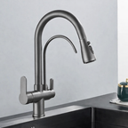 Built-In Filtered Pull-Out Kitchen Faucet (360° Rotation)