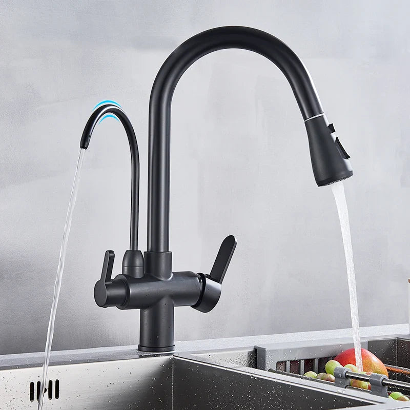 Built-In Filtered Pull-Out Kitchen Faucet (360° Rotation)