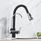 Built-In Filtered Pull-Out Kitchen Faucet (360° Rotation)