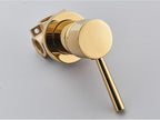 Concealed Brass Dual-Function Shower Mixer Valve
