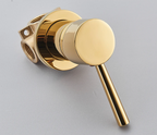 Concealed Brass Dual-Function Shower Mixer Valve