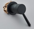 Concealed Brass Dual-Function Shower Mixer Valve