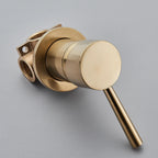 Concealed Brass Dual-Function Shower Mixer Valve