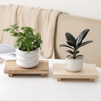 Handcrafted Water-Resistant Wood Tray Stand