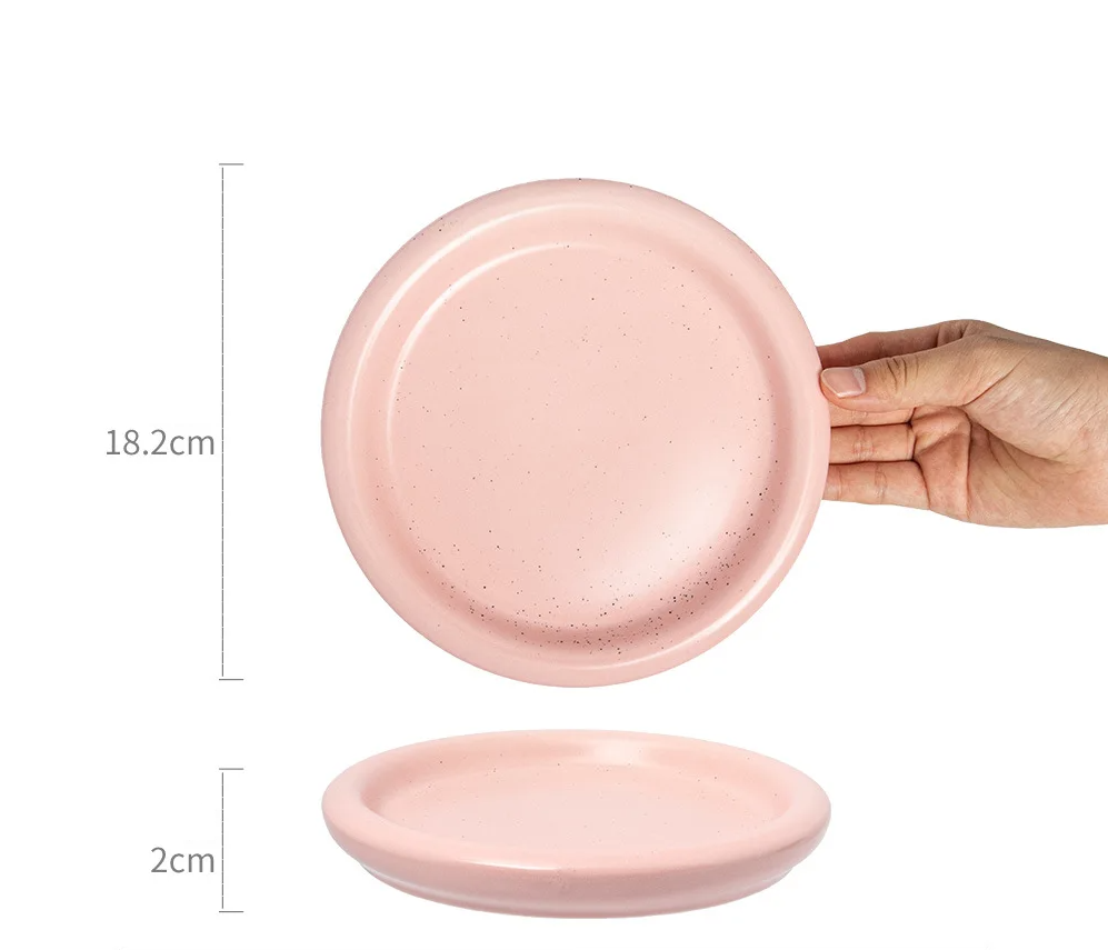 Heat-Resistant Macaron Pastel Ceramic Plate
