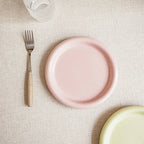 Heat-Resistant Macaron Pastel Ceramic Plate