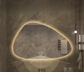 LED Dimmable Moisture-Resistant Bathroom Mirror (Irregular Organic Shape)