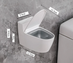 Lockable Odor-Control Wall-Mounted Ashtray (Removable Insert)