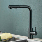 Matte Black Pull-Out & 360° Swivel Kitchen Faucet