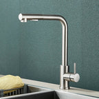 Matte Black Pull-Out & 360° Swivel Kitchen Faucet