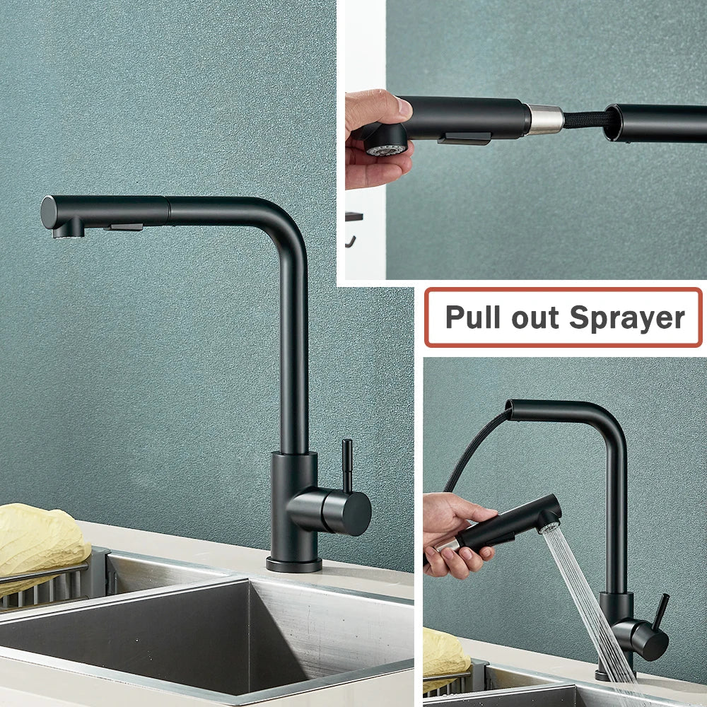 Matte Black Pull-Out & 360° Swivel Kitchen Faucet