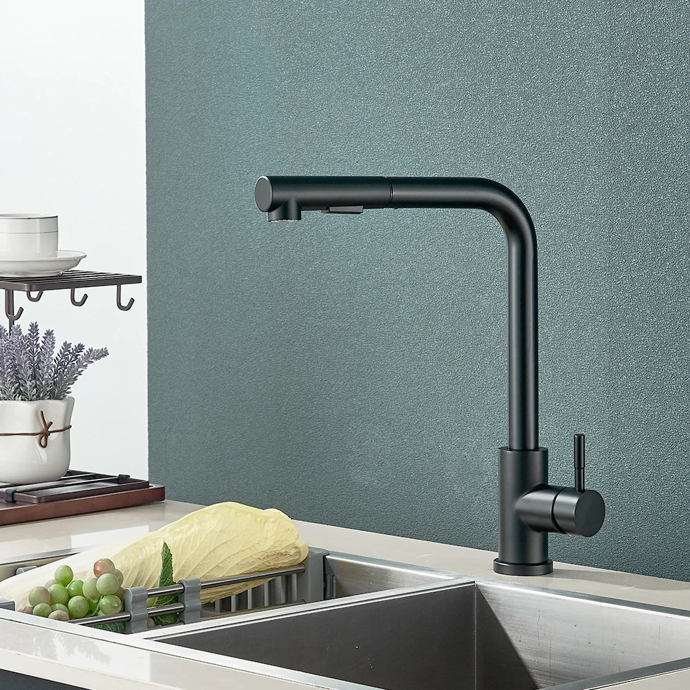 Matte Black Pull-Out & 360° Swivel Kitchen Faucet