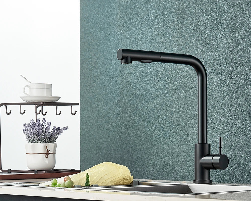 Matte Black Pull-Out & 360° Swivel Kitchen Faucet