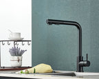 Matte Black Pull-Out & 360° Swivel Kitchen Faucet
