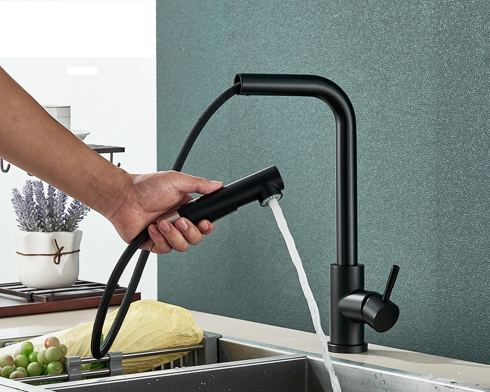 Matte Black Pull-Out & 360° Swivel Kitchen Faucet