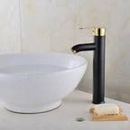 Matte Black Stainless Steel Single-Handle Faucet (Deck-Mounted)