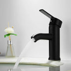 Matte Black Stainless Steel Single-Handle Faucet (Deck-Mounted)