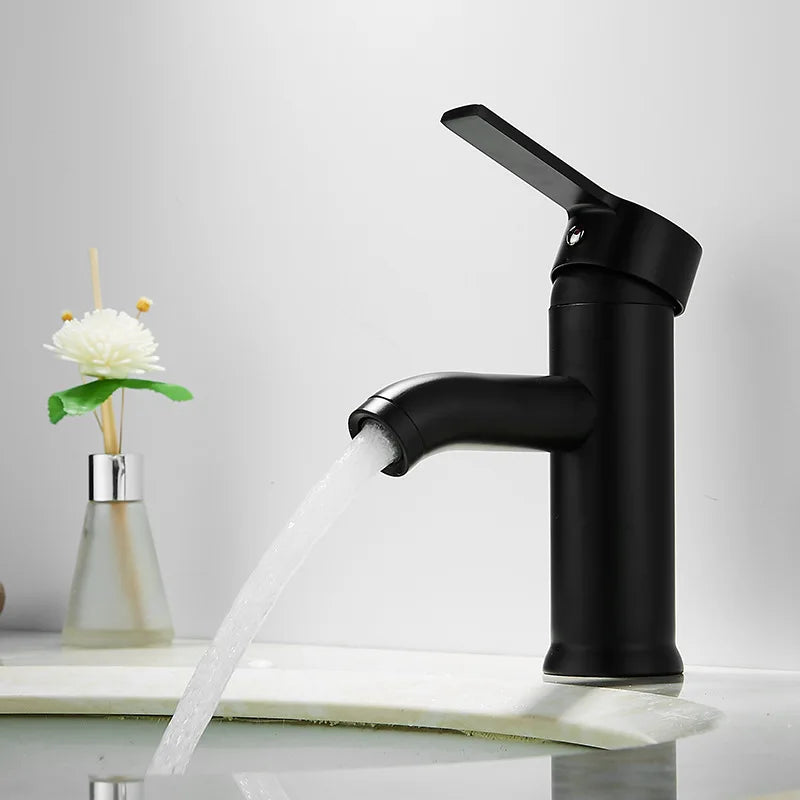 Matte Black Stainless Steel Single-Handle Faucet (Deck-Mounted)