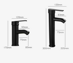 Matte Black Stainless Steel Single-Handle Faucet (Deck-Mounted)