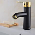 Matte Black Stainless Steel Single-Handle Faucet (Deck-Mounted)