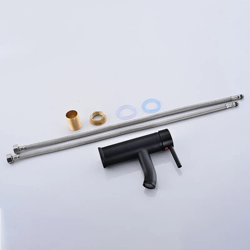 Matte Black Stainless Steel Single-Handle Faucet (Deck-Mounted)