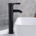 Matte Black Stainless Steel Single-Handle Faucet (Deck-Mounted)