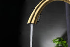 Pull-Out 304 Stainless Steel Kitchen Faucet (Deck-Mounted)