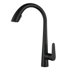 Pull-Out 304 Stainless Steel Kitchen Faucet (Deck-Mounted)