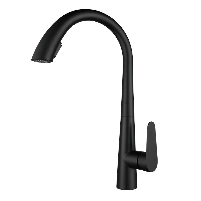 Pull-Out 304 Stainless Steel Kitchen Faucet (Deck-Mounted)