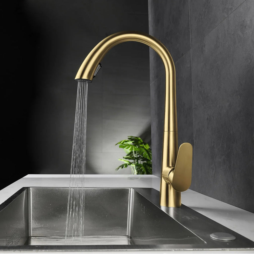 Pull-Out 304 Stainless Steel Kitchen Faucet (Deck-Mounted)