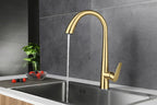 Pull-Out 304 Stainless Steel Kitchen Faucet (Deck-Mounted)
