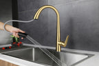 Pull-Out 304 Stainless Steel Kitchen Faucet (Deck-Mounted)