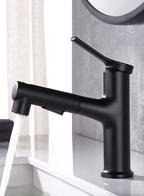 Pull-Out & Oral Rinse Brass Bathroom Sink Faucet