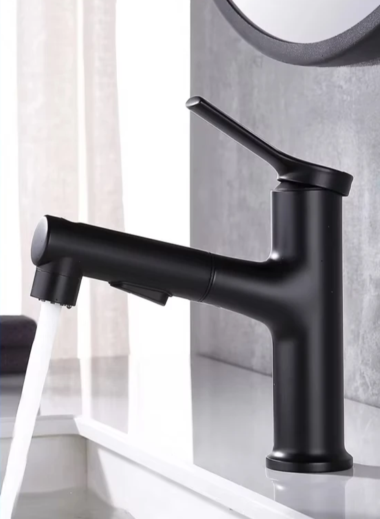 Pull-Out & Oral Rinse Brass Bathroom Sink Faucet