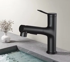 Pull-Out & Oral Rinse Brass Bathroom Sink Faucet
