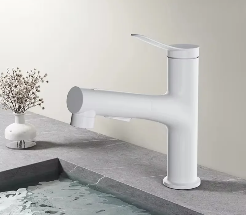 Pull-Out & Oral Rinse Brass Bathroom Sink Faucet