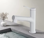Pull-Out & Oral Rinse Brass Bathroom Sink Faucet