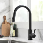 Pull-Out Single-Handle Kitchen Faucet (Deck-Mount)