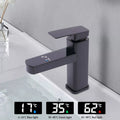 Real-Time LED Temp Display Matte Black Faucet